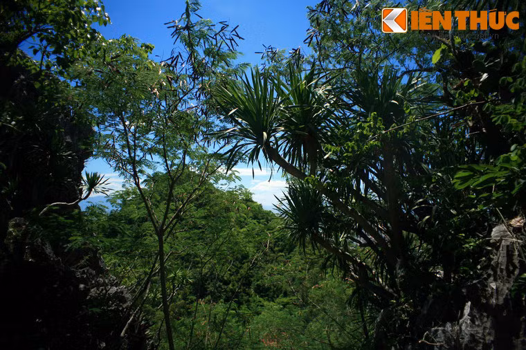 Bên cạnh vẻ đẹp cảnh quan, các ngọn núi ở Ngũ Hành Sơn còn có nhiều loại thảo mộc, phong lan rừng quý hiếm và quần thể động vật hoang dã phong phú.