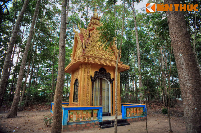 Trong khuôn viên còn có xây nhiều bảo tháp chứa di hài các sư trụ trì chùa.