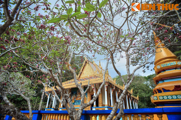 Nằm ở phường 3, TP Sóc Trăng, tỉnh Sóc Trăng, chùa Dơi còn được gọi là chùa Mã Tộc hay chùa Mahatup, là ngôi chùa nổi tiếng bậc nhất của đồng bào Khmer ở khu vực Nam Bộ.