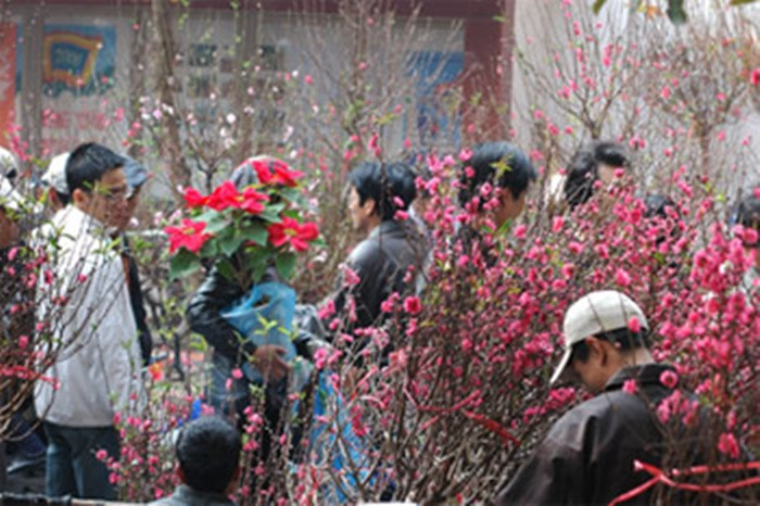 Mien Bac troi ret trong nhung ngay Tet Nguyen dan 2025