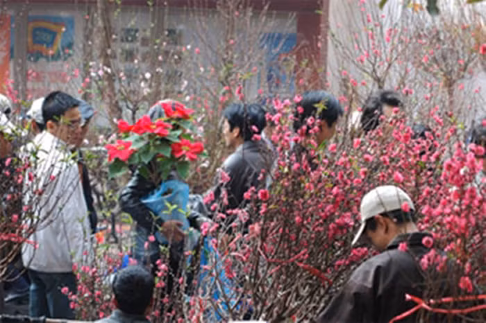 Mien Bac troi ret trong nhung ngay Tet Nguyen dan 2025