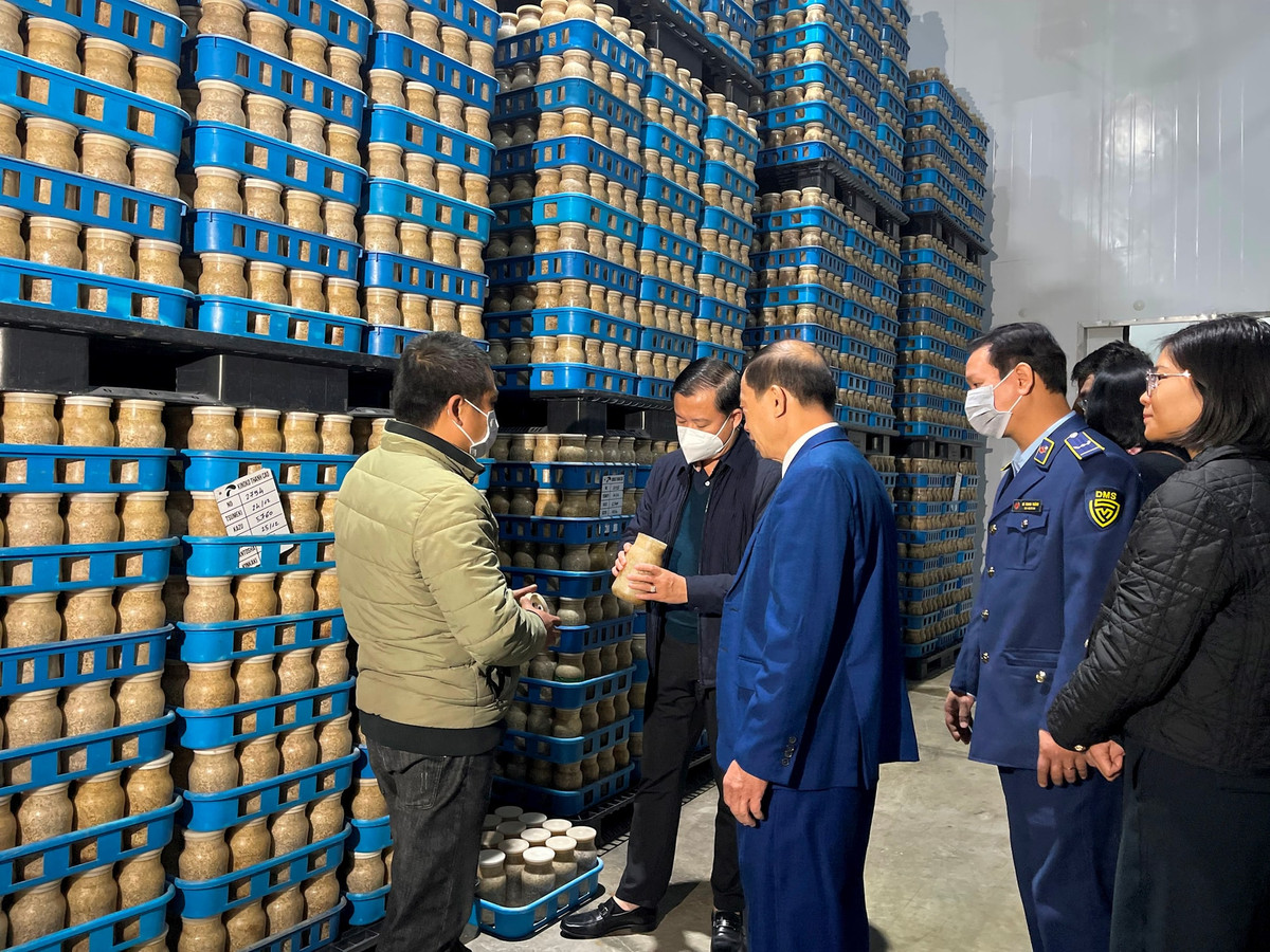 Phát hiện 22 cơ sở vi phạm an toàn thực phẩm ở Mỹ Đức Phat hien 22 co so vi pham an toan thuc pham o My Duc