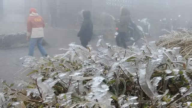 Thoi tiet ngay 19/1: Bac Bo va Bac Trung Bo co mua nho vai noi