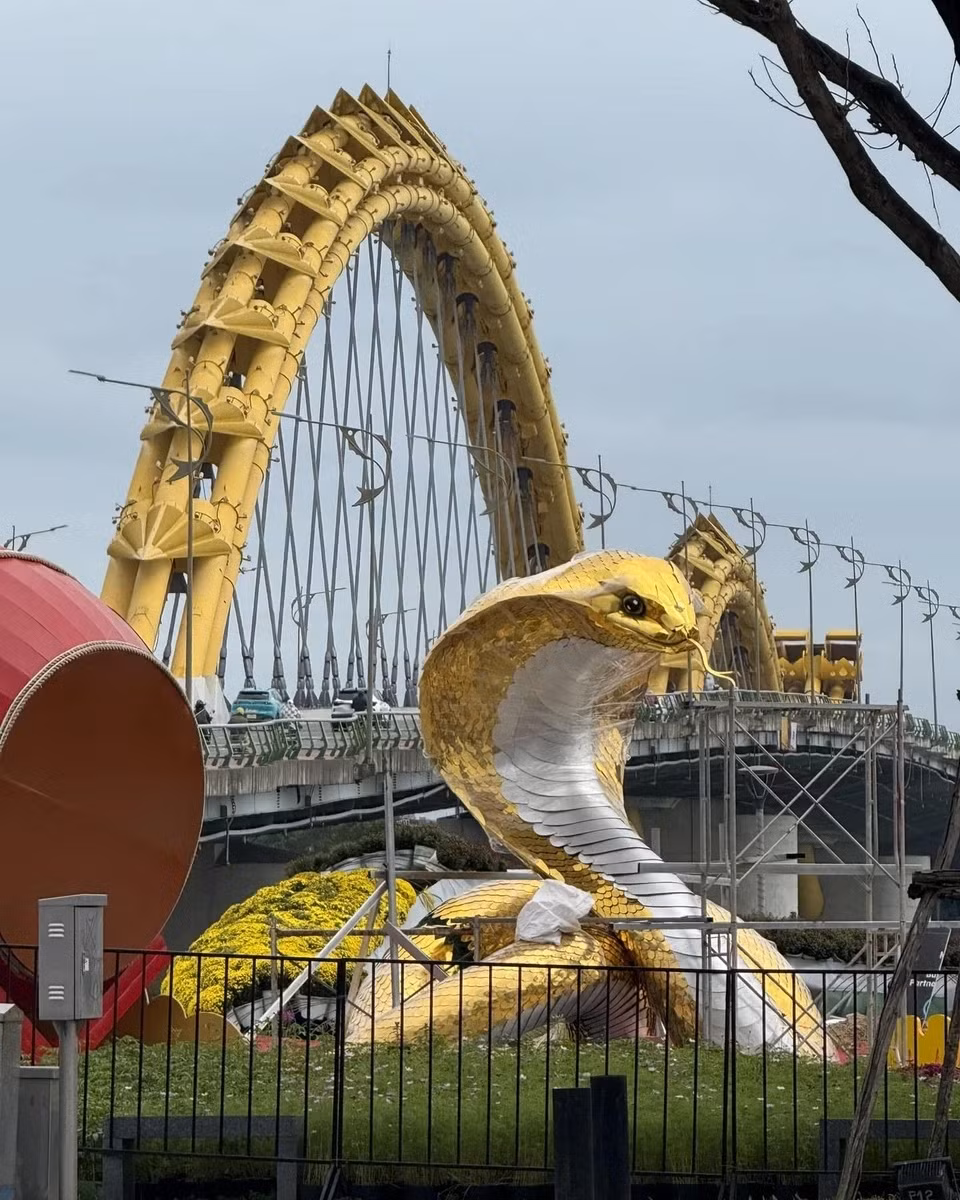 Linh vật rắn tại đường Bạch Đằng (quận Hải Châu, TP Đà Nẵng) là ứng cử viên nặng ký trong cuộc đua linh vật năm nay với vẻ ngoài uy nghi hiếm có. Đây là một tác phẩm khác của nghệ nhân Đinh Văn Tâm do địa phương đặt hàng. Để tạo được hình dáng bóng bẩy, ông Tâm sử dụng tấm nhôm aluminium, mạ vàng để hòa hợp với màu sắc cầu Rồng phía sau. (Ảnh: Moon Black).