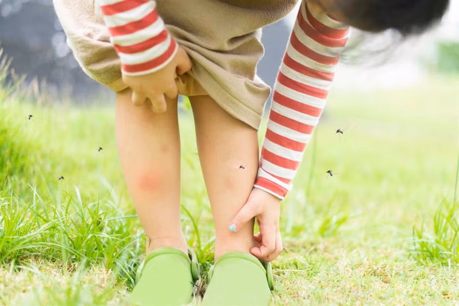 Bi muoi dot, be gai gap ket kinh hoang tu hanh dong kho tin