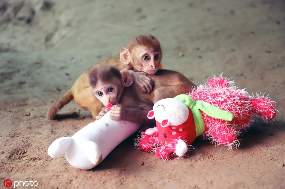 Xuc dong canh doi khi mo coi niu chat nhau khong roi-Hinh-5