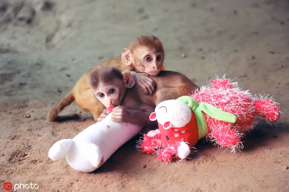 Xuc dong canh doi khi mo coi niu chat nhau khong roi-Hinh-5