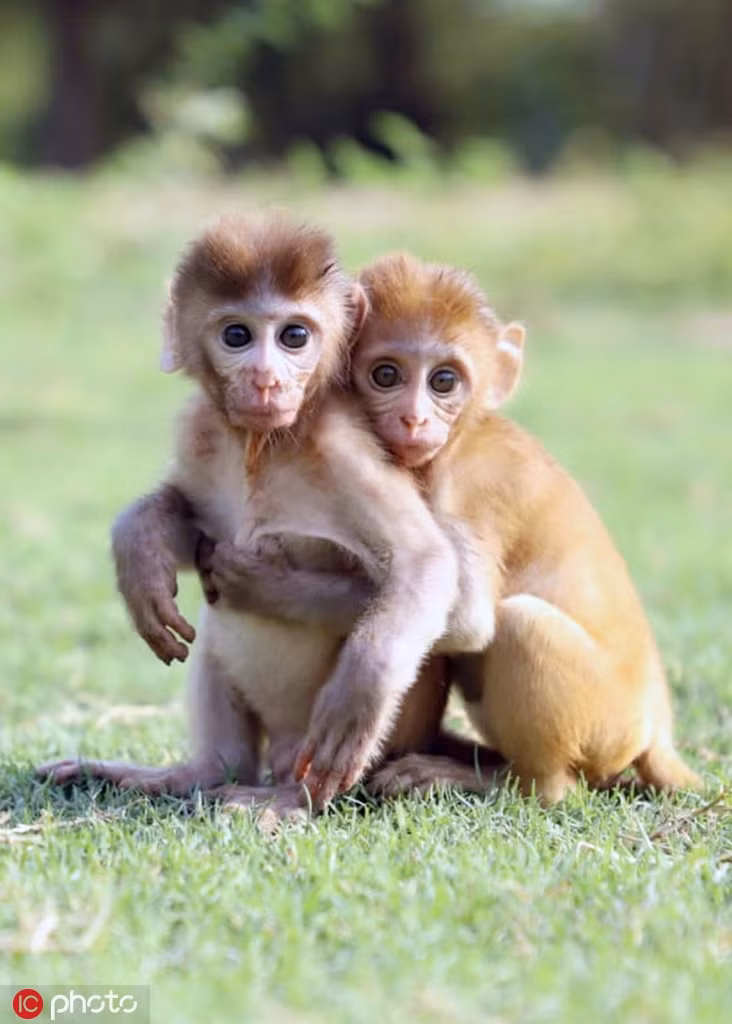 Xuc dong canh doi khi mo coi niu chat nhau khong roi-Hinh-4