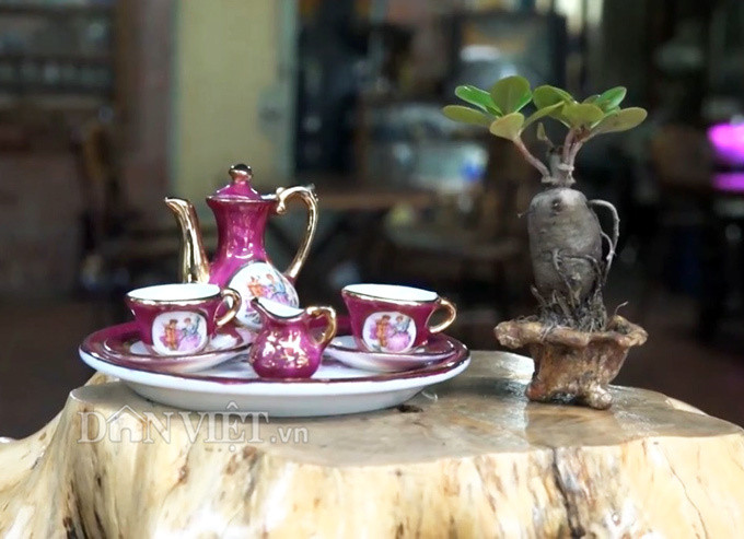 Bo suu tap gom su sieu nho cua nguoi dan ong khong lo-Hinh-3