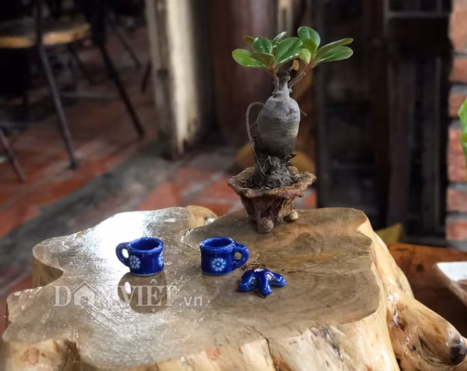 Bo suu tap gom su sieu nho cua nguoi dan ong khong lo-Hinh-7