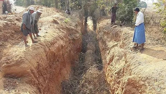 Theo tìm hiểu, những thân cây lớn chết khô này được phát hiện đầu tiên bởi một công ty chuyên về ngọc ở một ngôi làng thuộc tỉnh Magway, Myanmar.