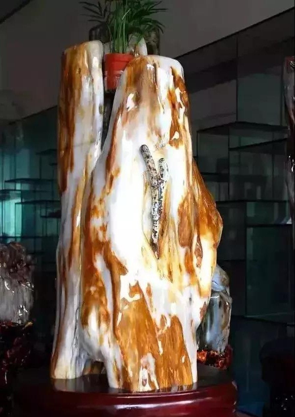 Thời đó, những thân cây khổng lồ trên bề mặt Trái đất bị gãy, đổ và chìm vào trong lòng đất do sự biến dạng và đứt gãy của vỏ Trái đất.