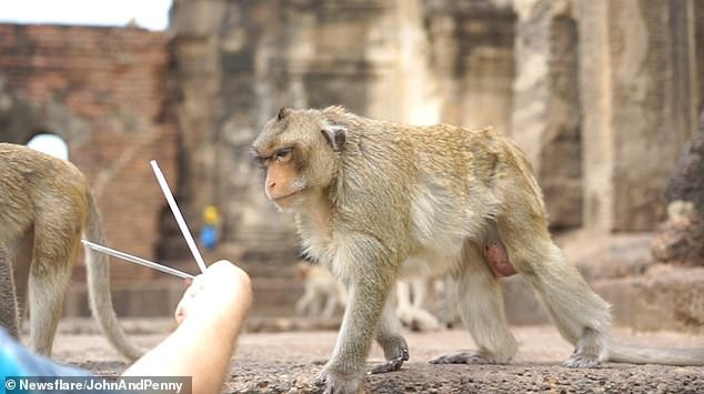 Lan dau ngam minh trong guong, khi cai bang hoang vi 