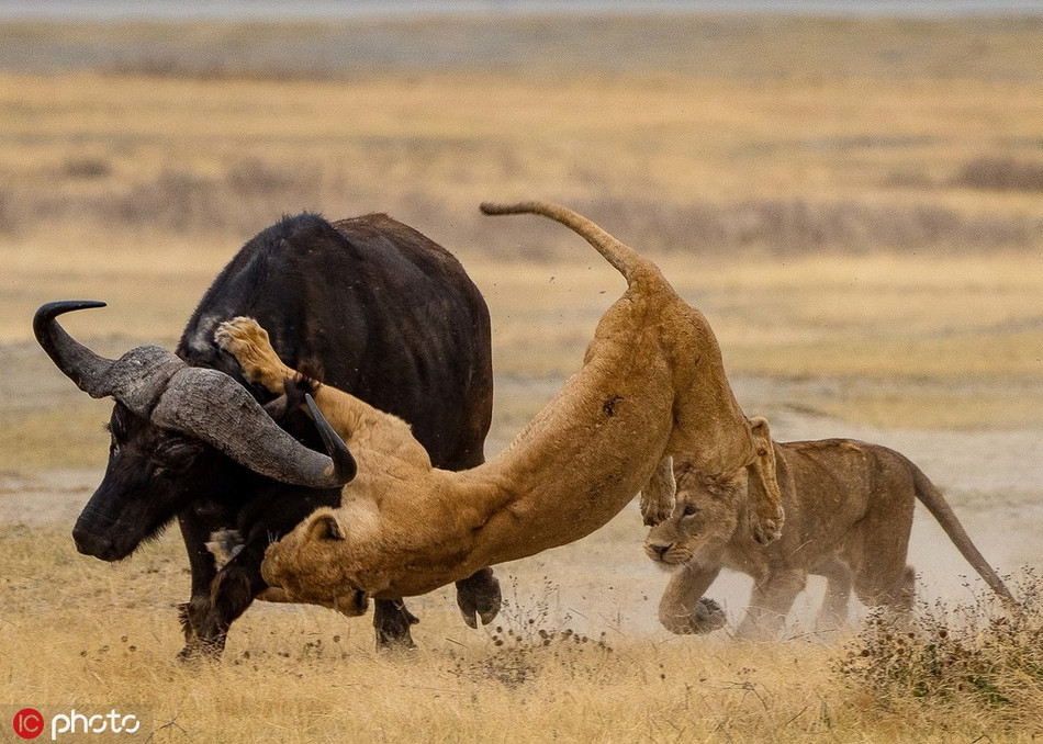 Mặc dù vậy, phim cũng chỉ là phim, sẽ có nhiều trường đoạn hư cấu, nhân cách hóa.