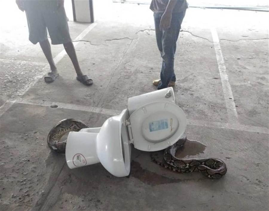 Mo nap bon cau, thanh nien suyt ngat thay dau tran khong lo lap lo-Hinh-2