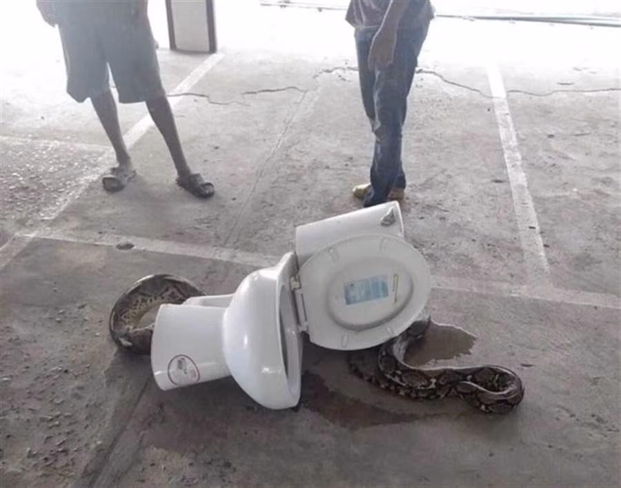 Mo nap bon cau, thanh nien suyt ngat thay dau tran khong lo lap lo-Hinh-2