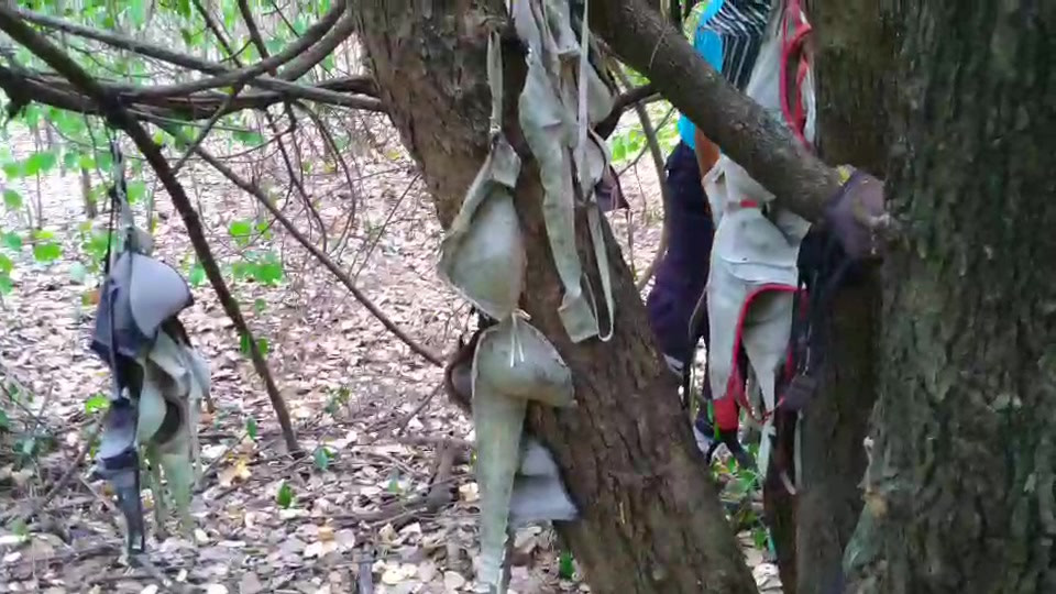 Kinh di cay do lot, ai di qua cung 