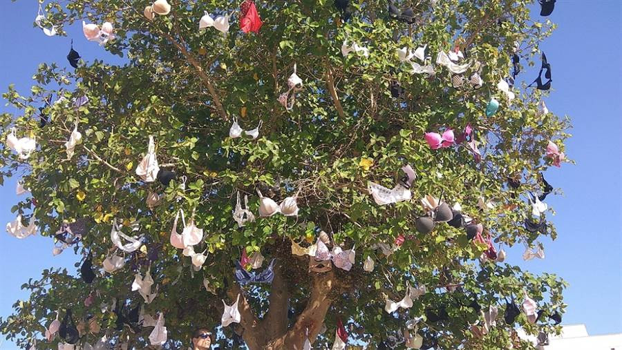 Kinh di cay do lot, ai di qua cung 