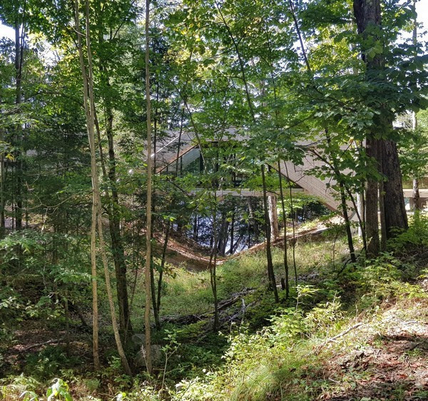 Toàn bộ vật liệu gỗ dùng cho ngôi nhà đều được lấy tại địa phương.