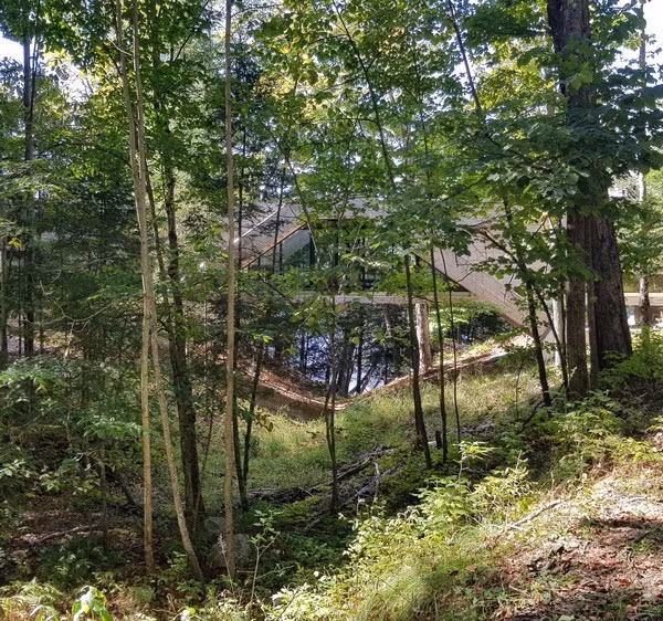 Toàn bộ vật liệu gỗ dùng cho ngôi nhà đều được lấy tại địa phương.