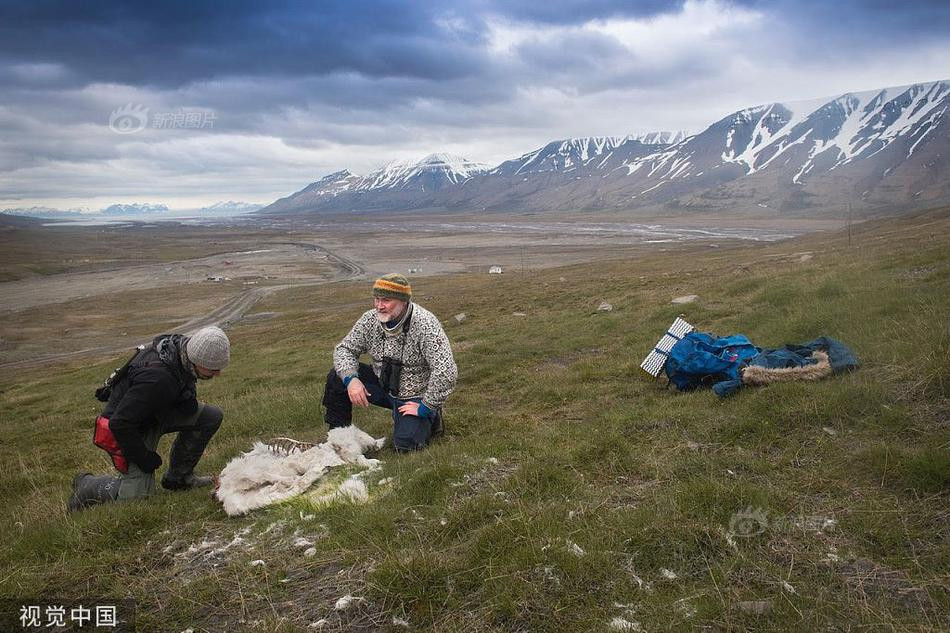Soc: Hang tram thu cung cua ong gia Noel chet tham-Hinh-3
