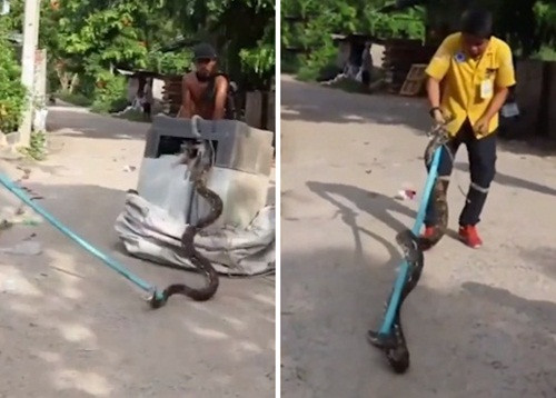 Tran khong lo ren xiet trong may giat gay kinh hai