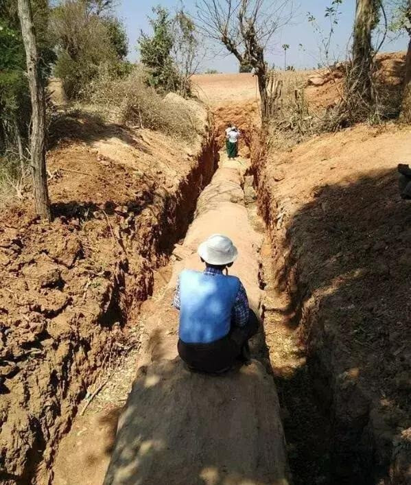 Tại Myanmar, có những cây lớn chết khô, bề ngoài nhìn không khác gì những thân cây khô thông thường khác trong các khu rừng tự nhiên, thế nhưng những thân cây này thực sư là kho báu quốc gia, cực kỳ giá trị.