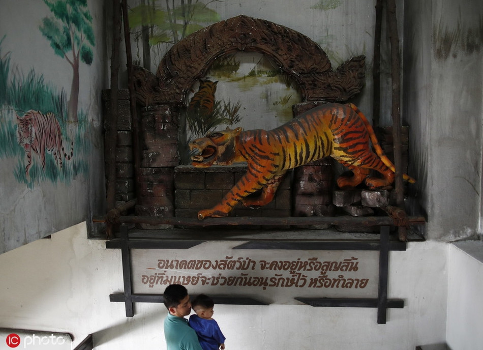 Giselle Correia và Cody Kuchirka, chủ sở hữu của trang blog Mindful Wanderlust, trong một chuyến thăm sở thú Pata đã phải thốt lên rằng: "Nơi đây đặc biệt đáng sợ và khủng khiếp".