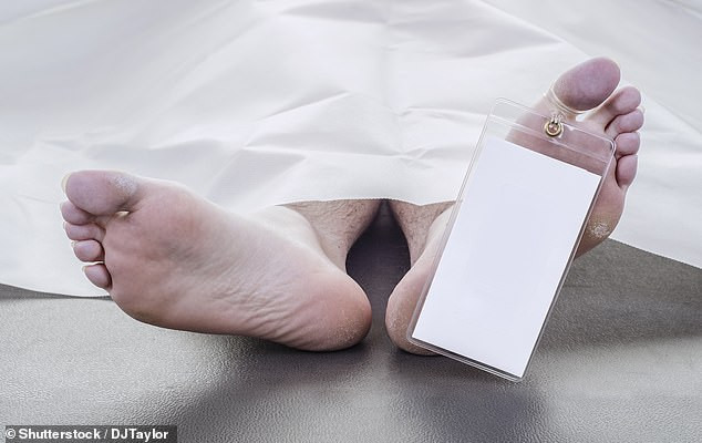 Dang chon cat, chang trai 