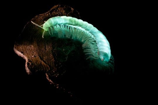 Loai ret huynh quang, phat sang de... an ai vien man-Hinh-2