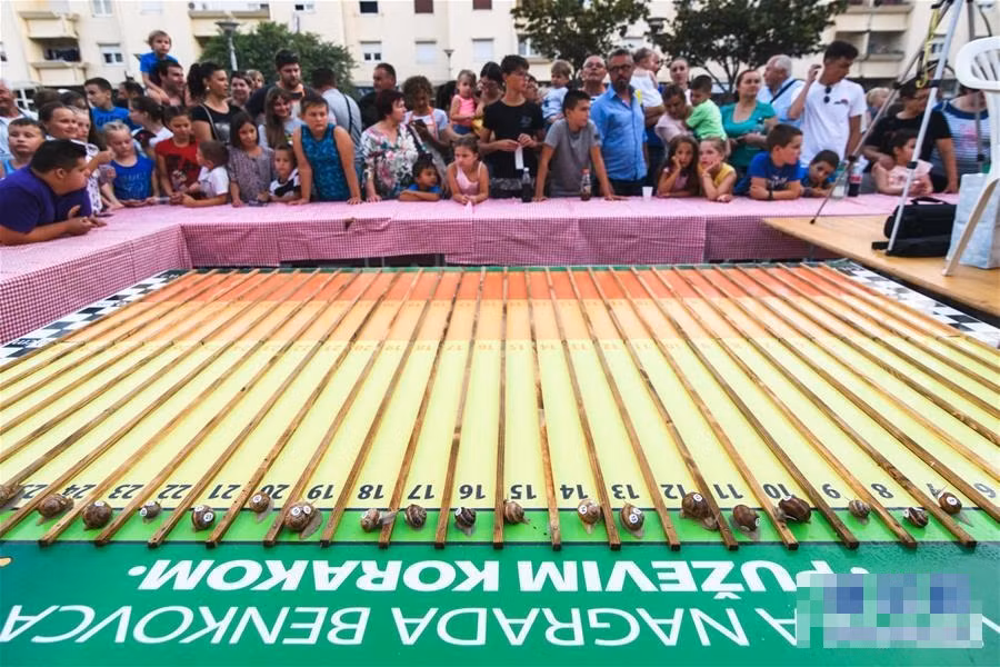 Ly ky giai dua oc sen khien ai cung hoi hop theo-Hinh-2