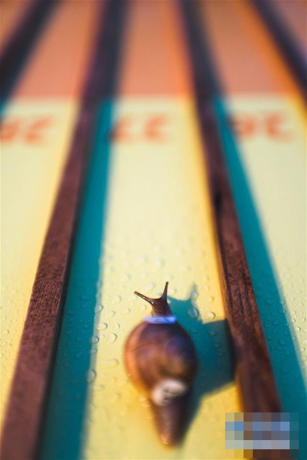 Ly ky giai dua oc sen khien ai cung hoi hop theo-Hinh-3