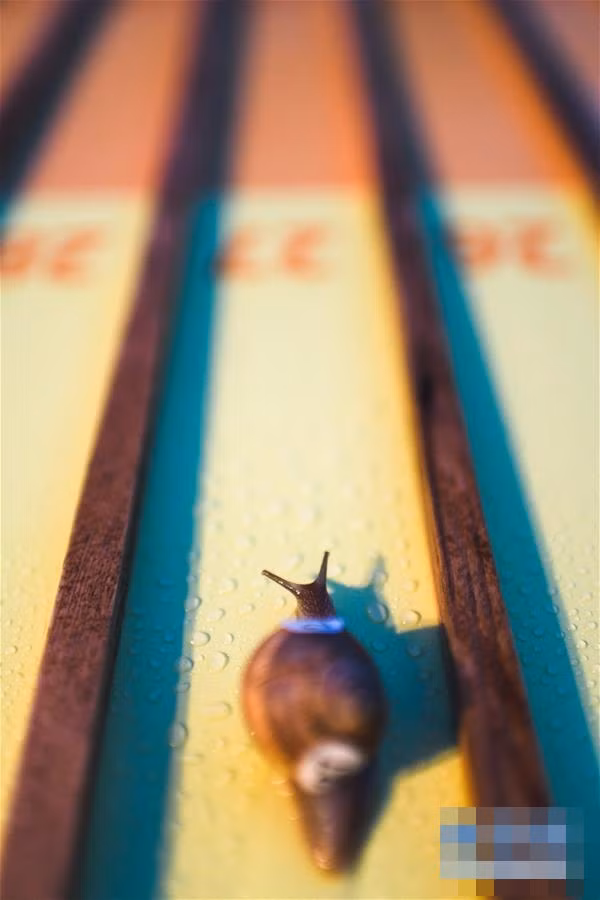 Ly ky giai dua oc sen khien ai cung hoi hop theo-Hinh-3