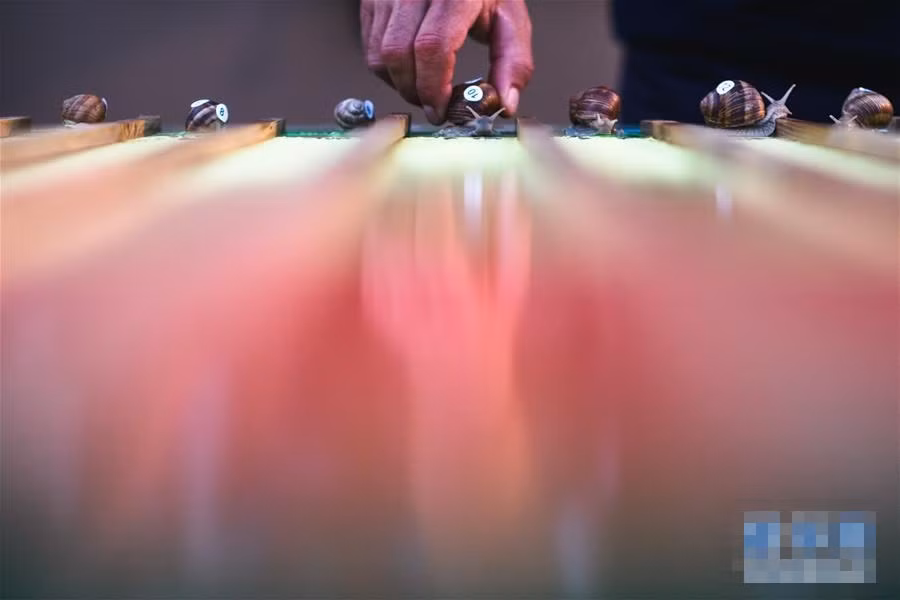 Ly ky giai dua oc sen khien ai cung hoi hop theo