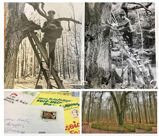 Ly ky chuyen cay soi co “mai moi” cho 100 cap tinh nhan nhung mai co don-Hinh-2