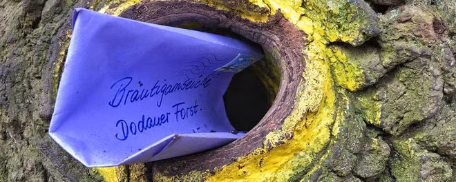 Ly ky chuyen cay soi co “mai moi” cho 100 cap tinh nhan nhung mai co don-Hinh-5