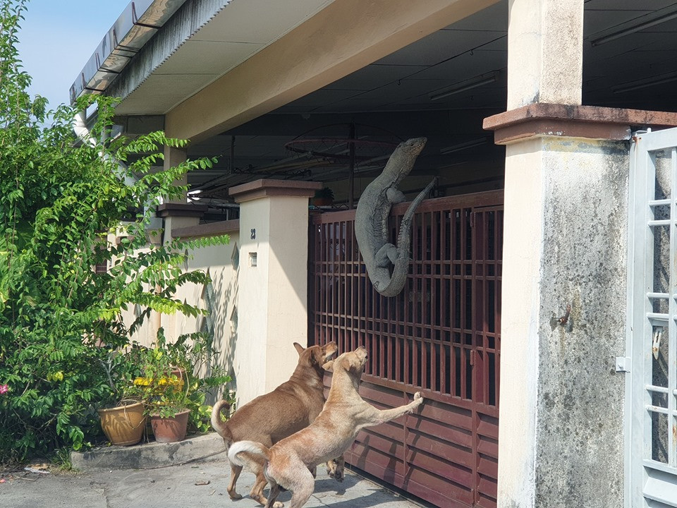 Thay cho sua vang nha, chay ra phat hien 