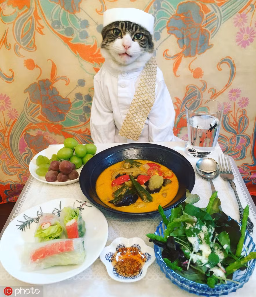 Hiện Maro đang sống cùng cô chủ là Rie Matsui ở Nhật Bản. Cô Rie Matsui là một người yêu động vật, say mê nhiếp ảnh và văn hóa ẩm thực, đặc biệt là ẩm thực Nhật Bản.