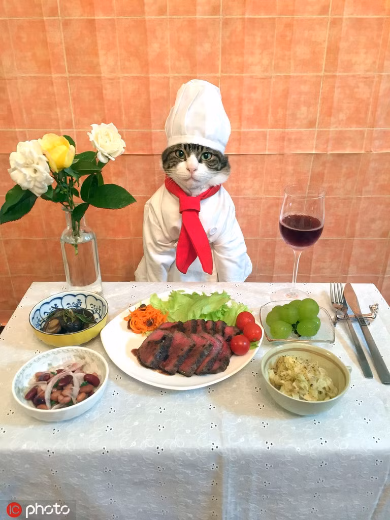 Không chỉ là các món ăn Nhật Bản, Maro còn giúp các fan hâm mộ của mình được trải nghiệm ẩm thực bằng mắt với các món ăn nổi tiếng trên thế giới.