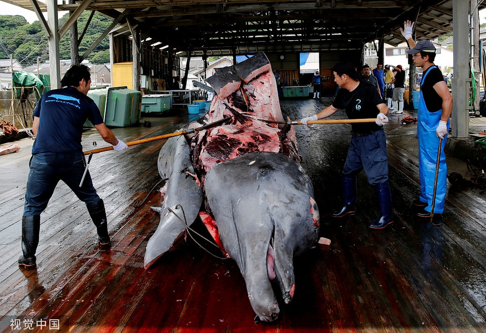 Sau đó, các em phải viết cảm nhận, suy nghĩ của mình để nộp lại cho giáo viên.