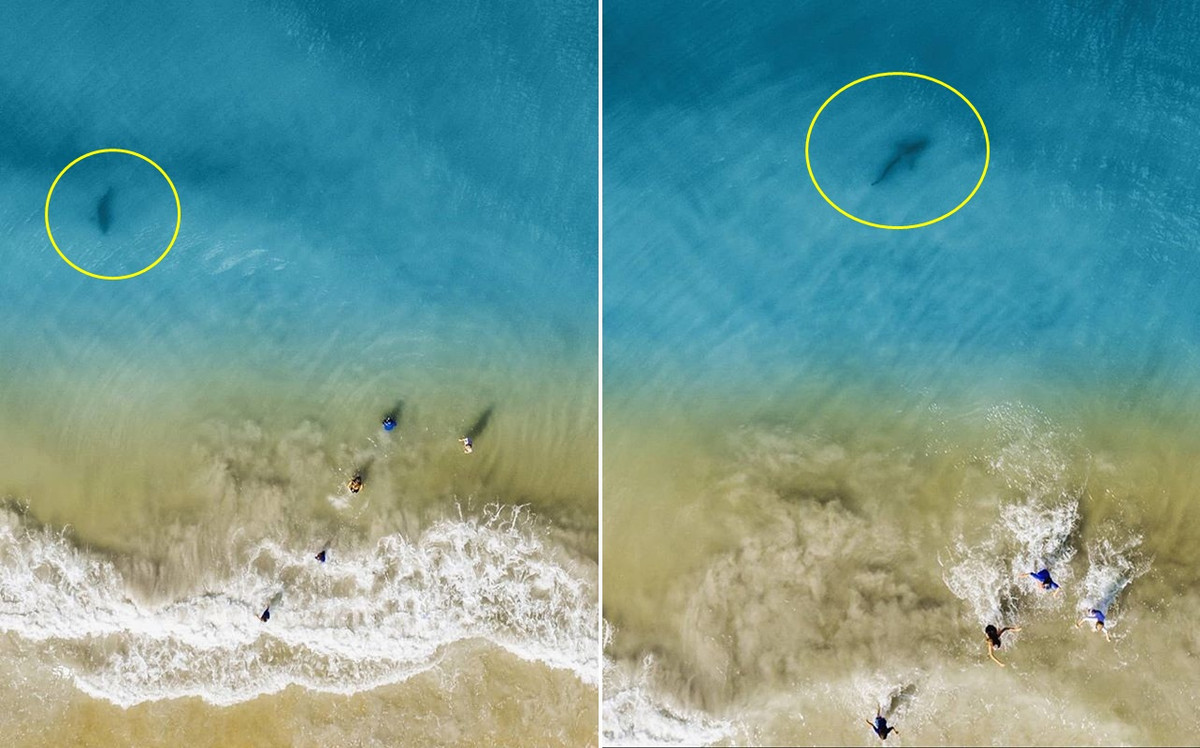 Dung flycam quay ca gia dinh, nguoi dan ong phat hien hung than...