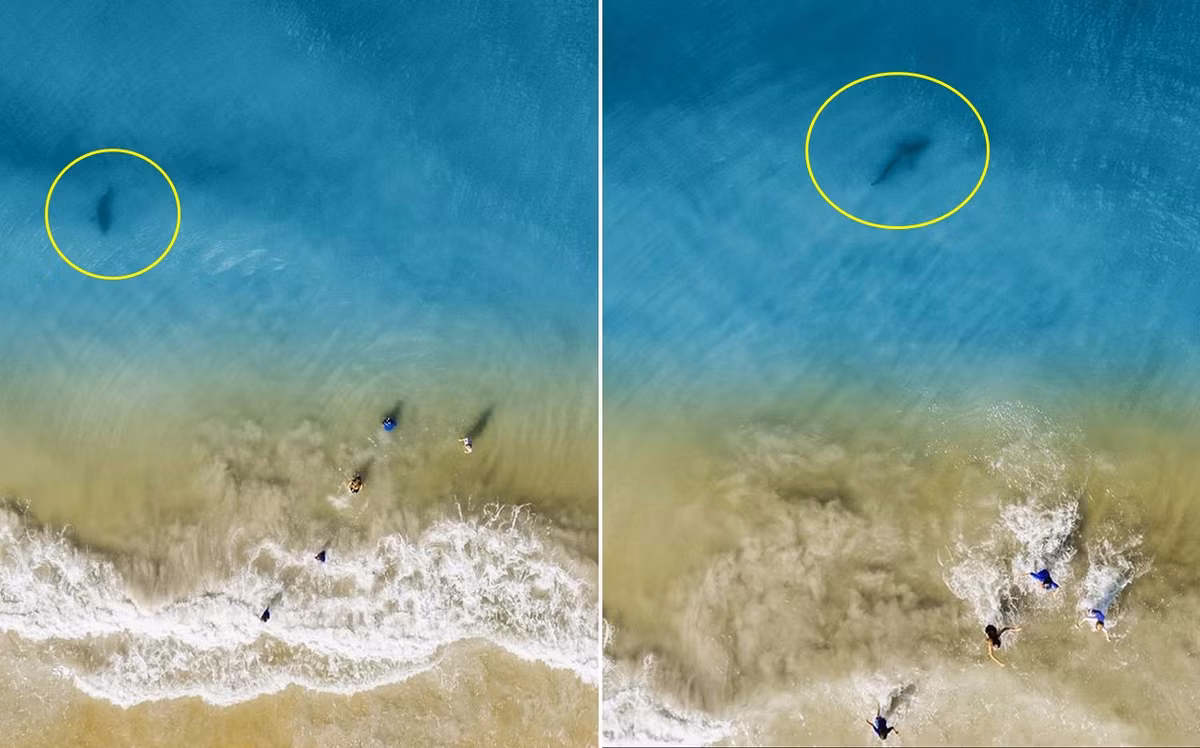 Dung flycam quay ca gia dinh, nguoi dan ong phat hien hung than...