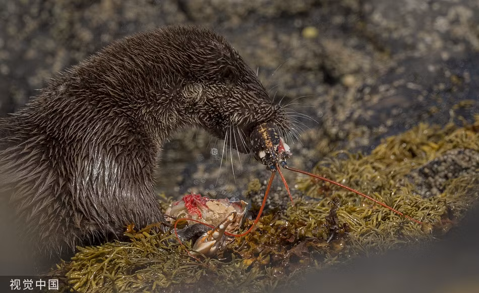 Rai ca san duoc tom hum co bu, khoe cuoc song sang chanh-Hinh-3