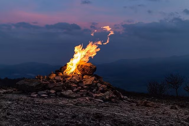 Doc dao nui lua cao co hon 1m, chay suot 80 nam-Hinh-2