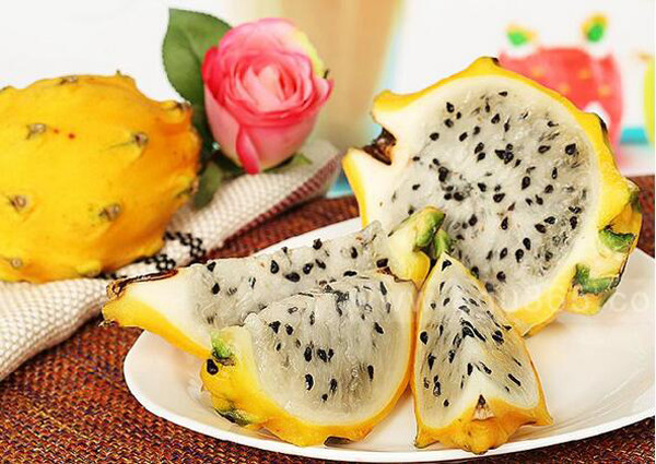 Theo tìm hiểu, quả kỳ lân có tên khoa học là Hylocereus megalanthus, là một loại quả có nguồn gốc ở Nam Mỹ. Tuy rằng có chung họ với quả thanh long nhưng quả kỳ lân lại màu vàng, có gai, vì thế còn được gọi là quả hỏa long.