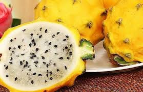 Sau khi chia sẻ của chàng trai trẻ được đăng tải, đa số mọi người đều tò mò, rốt cuộc quả kỳ lân là loại quả gì, tại sao lại khiến chàng trai trẻ sợ hãi như vậy?