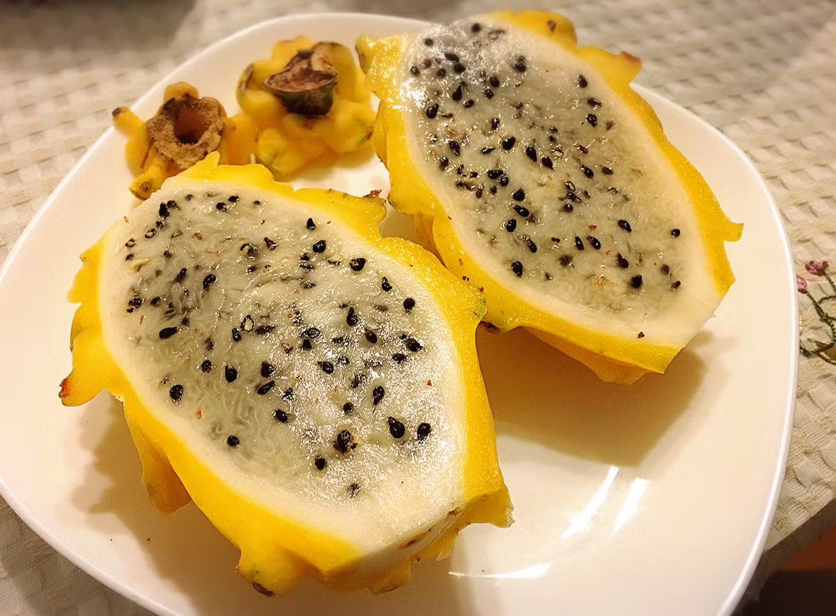 Tuy vậy, nếu không sử dụng quả kỳ lân đúng cách, người sử dụng có thể gặp dị ứng, ảnh hưởng trực tiếp đến cơ thể. Những người hay bị lạnh, bị bệnh tiểu đường không nên ăn quả kỳ lân.