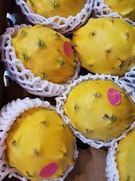 Về cái tên quả kỳ lân, vì những vỏ của quả có hình dạng giống như lớp vảy vàng óng ánh của kỳ lân, vì vậy cái tên quả kỳ lân trở nên phổ biến.