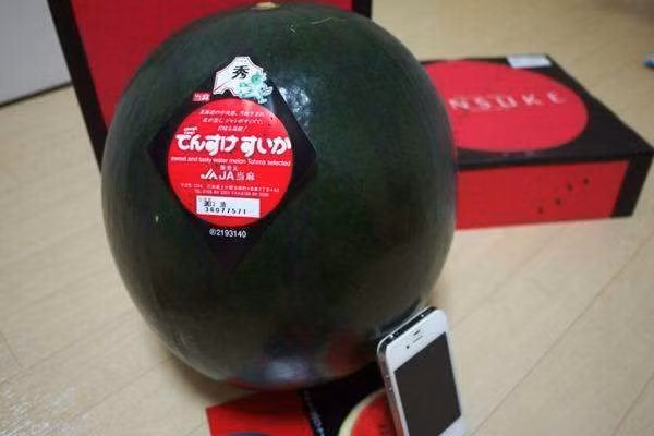 Nhung sieu qua dat kinh hoang, gia bang ca sieu xe-Hinh-3