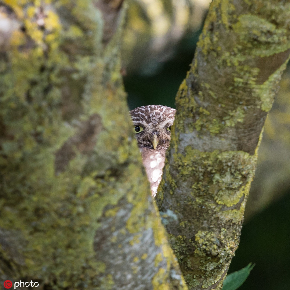 Chet cuoi cu nho han hoan choi tron tim voi nhiep anh gia-Hinh-2